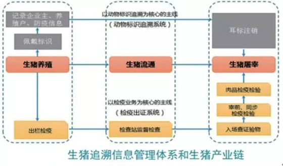 猪的身份追溯链